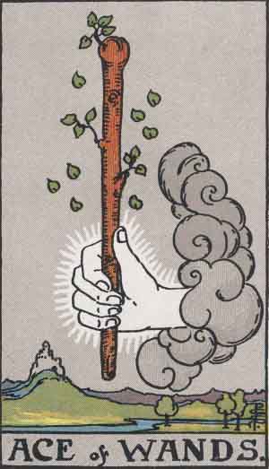 ace-of-wands-thumb